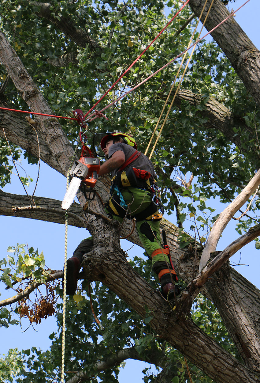 SKT C / Rigging Spezialkurs