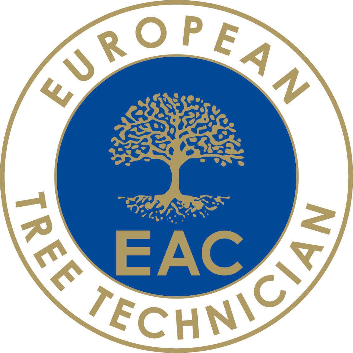 ETT - European Tree Technician (Lehrgang 2026/27)